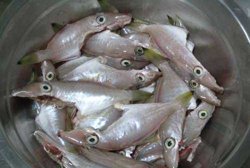 殺剝皮魚的時(shí)候頭要去掉嗎