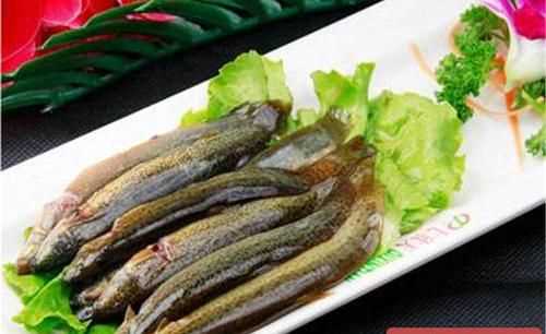 泥鰍死了一個(gè)小時(shí)左右已經(jīng)變硬了