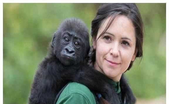 人類從動(dòng)物身上得到了哪些啟發(fā)有什么發(fā)明的