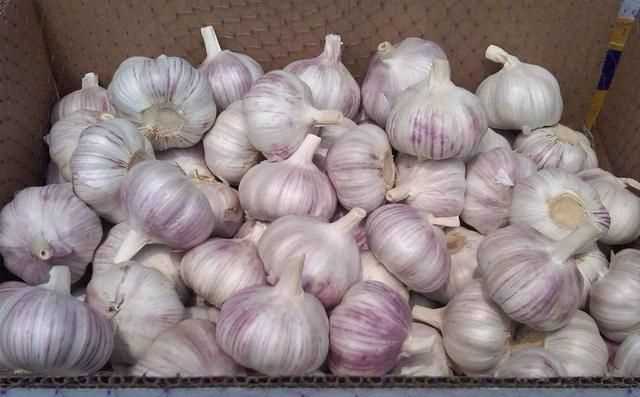 糖醋蒜為什么冒氣泡，用水封口玻璃罐腌制糖蒜兩天了，現(xiàn)在糖蒜出現(xiàn)冒氣泡現(xiàn)象，這是什么原因？圖3