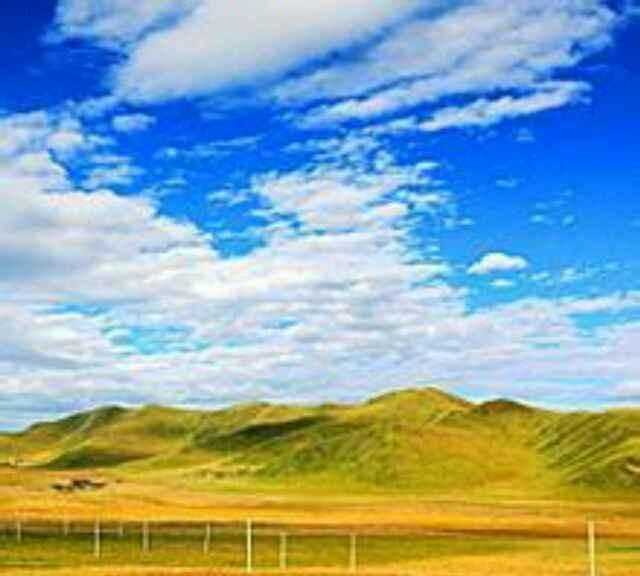 秋天的水果有哪些，秋天成熟的農(nóng)作物有哪些？圖4