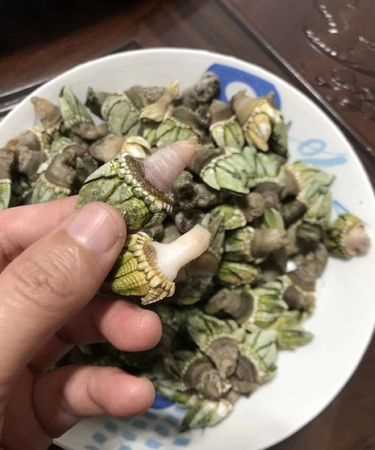 藤壺和佛手是一樣嗎,萬能的網(wǎng)友知道這是什么海鮮