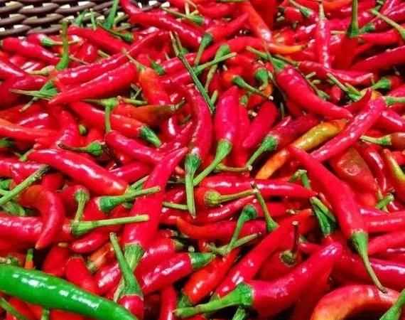 辣椒怎么曬干不變色，怎么曬干辣椒不變色？圖3
