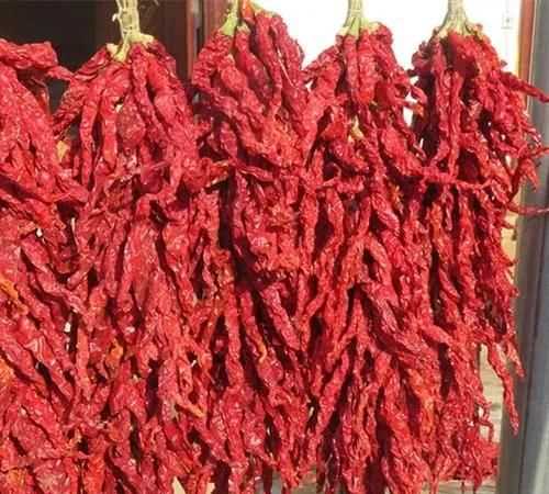 辣椒怎么曬干不變色，怎么曬干辣椒不變色？圖5