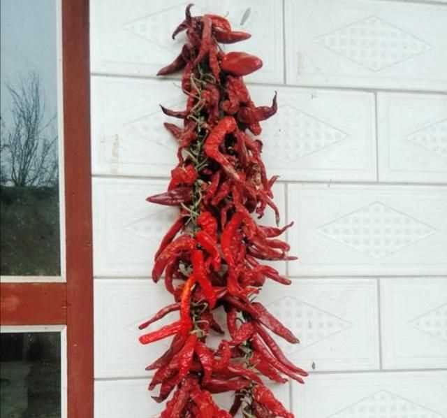 辣椒怎么曬干不變色，怎么曬干辣椒不變色？圖8