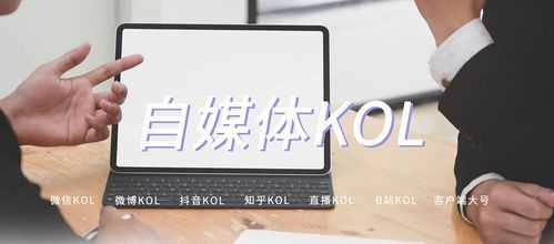 自媒體kol是什么意思