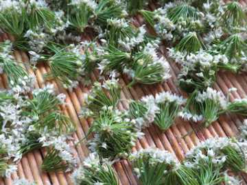 韭菜花的花苞可以吃,韭菜花苞可以一起炒嗎圖4