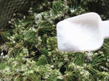 韭菜花的花苞可以吃,韭菜花苞可以一起炒嗎圖5