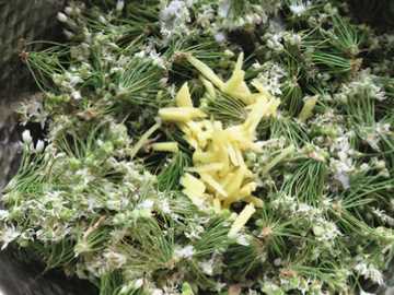 韭菜花的花苞可以吃,韭菜花苞可以一起炒嗎圖6