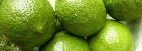 小青檸檬怎么泡水,小青檸檬可以泡水喝嗎圖4