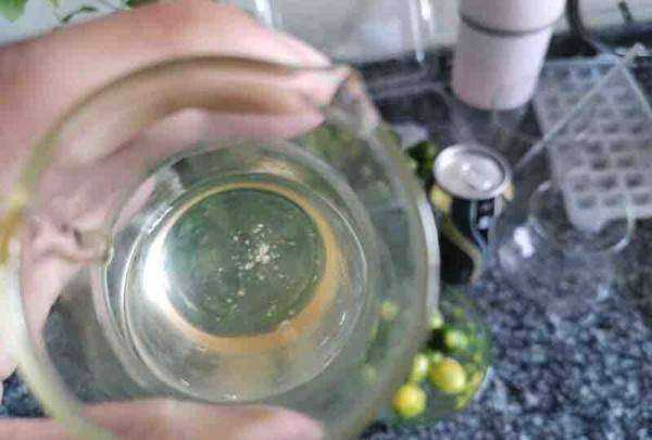 小青檸檬怎么泡水,小青檸檬可以泡水喝嗎圖7
