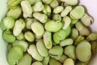 剝好的蠶豆怎么保存不變色,去殼蠶豆怎樣保存才能不變色