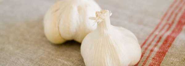 夏天大蒜頭怎么保存,夏天大蒜頭怎么保存不發(fā)芽圖4