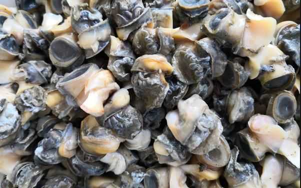 螺絲肉的功效與作用，螺絲肉怎么炒好吃？圖1