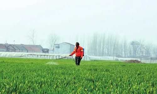 谷雨是下雨好還是不下雨好，農(nóng)村俗語(yǔ)：“雨水落雨三大碗，大河小河都要滿”，雨水下雨好不好？圖3