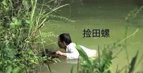 螺絲肉的功效與作用，螺絲肉怎么炒好吃？圖4