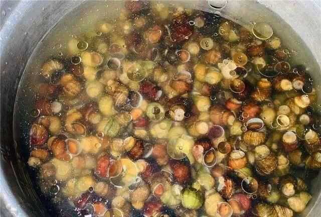 螺絲肉的功效與作用，螺絲肉怎么炒好吃？圖5