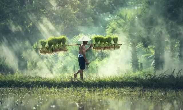 谷雨是下雨好還是不下雨好，農(nóng)村俗語(yǔ)：“雨水落雨三大碗，大河小河都要滿”，雨水下雨好不好？圖6