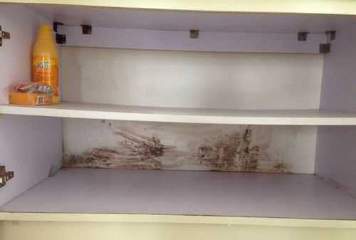 衣服放在宿舍柜子里會(huì)發(fā)霉嗎