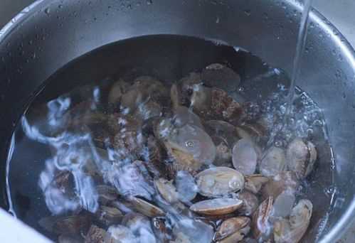 買回來的蛤蜊不張嘴怎么吐泥沙?