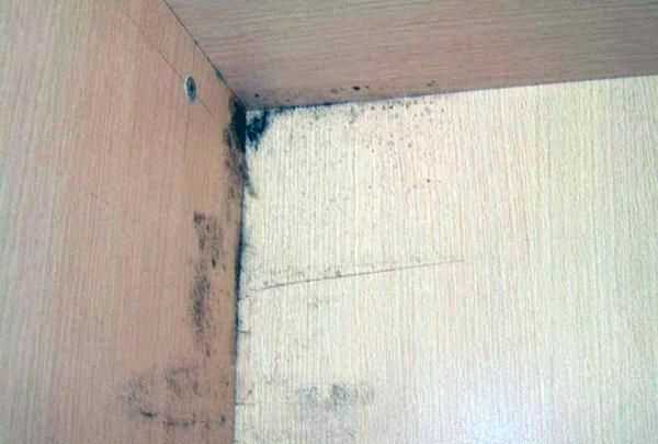 衣柜里面衣服放太少了 會(huì)不會(huì)讓衣服發(fā)霉了