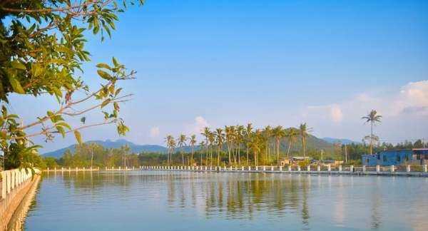 食用石灰粉可以用什么代替,沒(méi)有食用石灰可以用別的材料代替嗎圖7