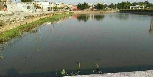 食用石灰粉可以用什么代替,沒(méi)有食用石灰可以用別的材料代替嗎圖9