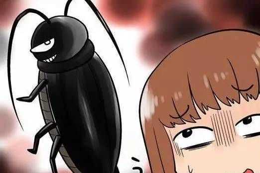 燈光會吸引會飛蟑螂,開燈睡覺會不會有蟑螂