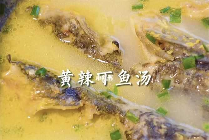 黃顙魚的功效與作用、禁忌和食用方法