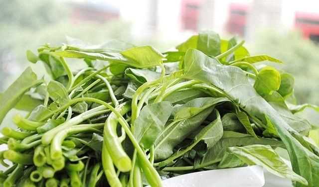吃空心菜要注意什么，聽(tīng)人說(shuō)空心菜吃多了不好,為什么？圖1