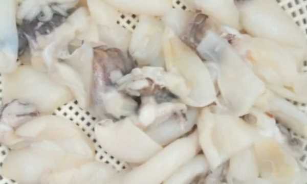 墨魚(yú)怎么炒,墨魚(yú)怎么做好吃又簡(jiǎn)單視頻圖1