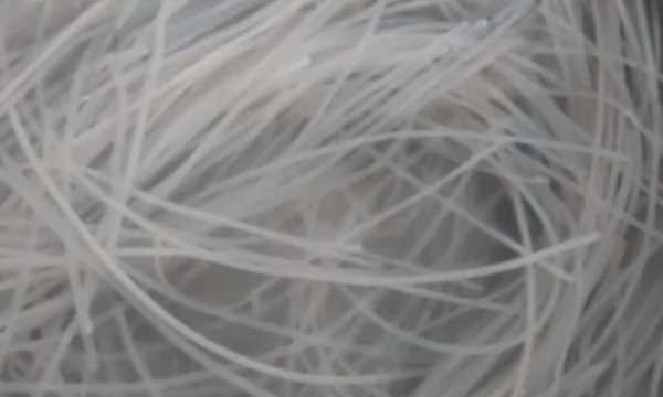 墨魚(yú)怎么炒,墨魚(yú)怎么做好吃又簡(jiǎn)單視頻圖4