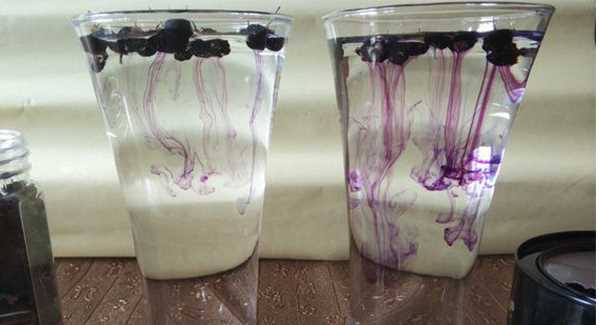 黑杞子泡水是什么顏色才是正貨,真正的黑枸杞泡出來的水顏色是什么顏色呢圖3