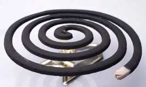 蚊香可以殺死跳蚤,用蚊香可以殺花卉蟲子嗎圖4