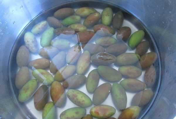 金香欖可以直接吃,生橄欖嚼著吃致癌 能不能直接嚼著吃生橄欖呢圖3