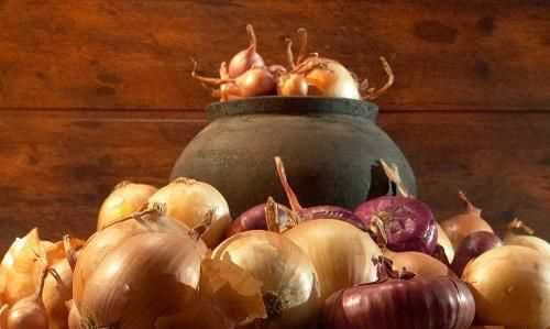 ，洋蔥能除甲醛嗎