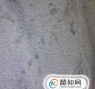 衣服上沾了松樹油怎么才能洗掉?