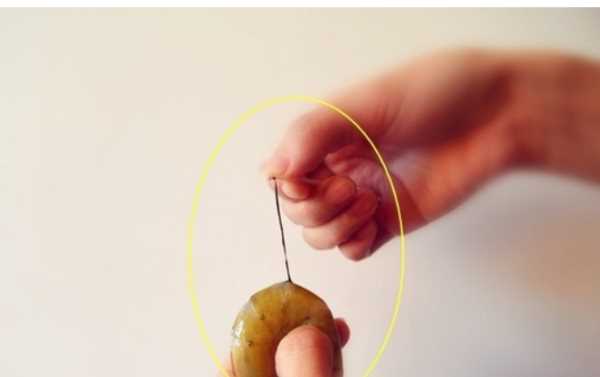 洗蝦子用什么浸泡,水產(chǎn)中浸泡蝦用食鹽還是用碘好呢圖4