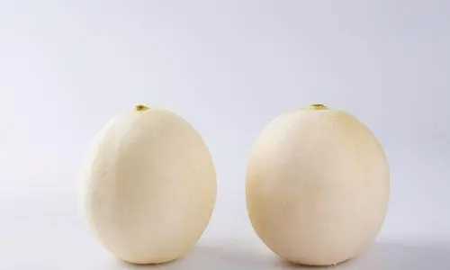 白蘭瓜是水果還是蔬菜,白蘭瓜是水果還是蔬菜類圖2