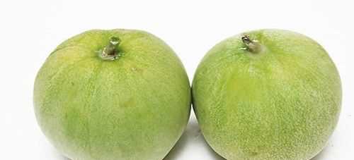 西瓜南瓜哈密瓜木瓜梨瓜哪個(gè)不同類