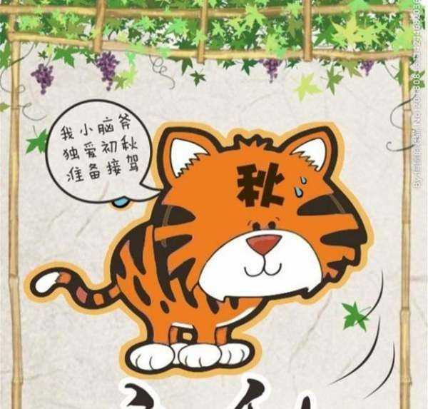 立秋還有公母之分,公秋扇子丟誰說的圖3