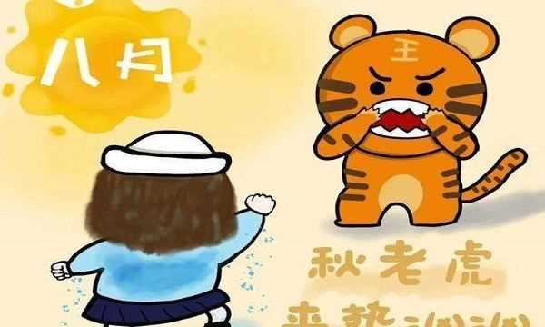 立秋還有公母之分,公秋扇子丟誰說的圖6