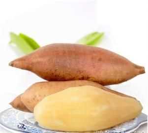 蝦和水果隔多久可以吃了