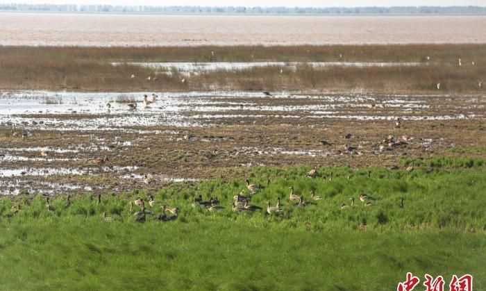 我國(guó)最大的淡水湖是