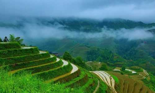 開龍脊是什么意思