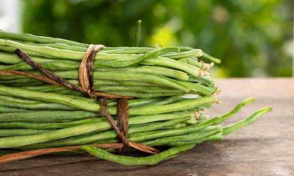 豆角怎樣凍才能保持綠色好吃,油豆角怎么凍速凍才好吃圖16