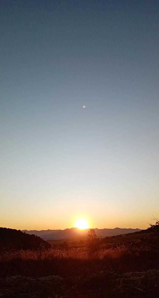 文化產(chǎn)品有哪些，黎族文化產(chǎn)品有哪些？圖4