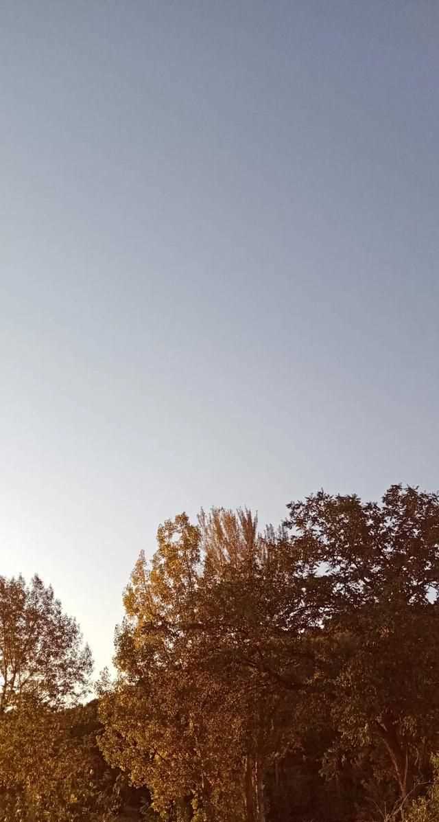 文化產(chǎn)品有哪些，黎族文化產(chǎn)品有哪些？圖5