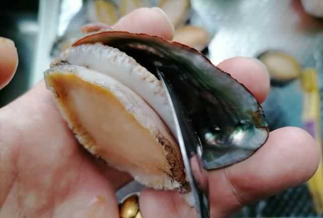 鮑魚(yú)蒸地時(shí)候要去內(nèi)臟嗎