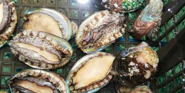 鮑魚(yú)要去內(nèi)臟嗎，鮑魚(yú)蒸地時(shí)候要去內(nèi)臟嗎？圖3